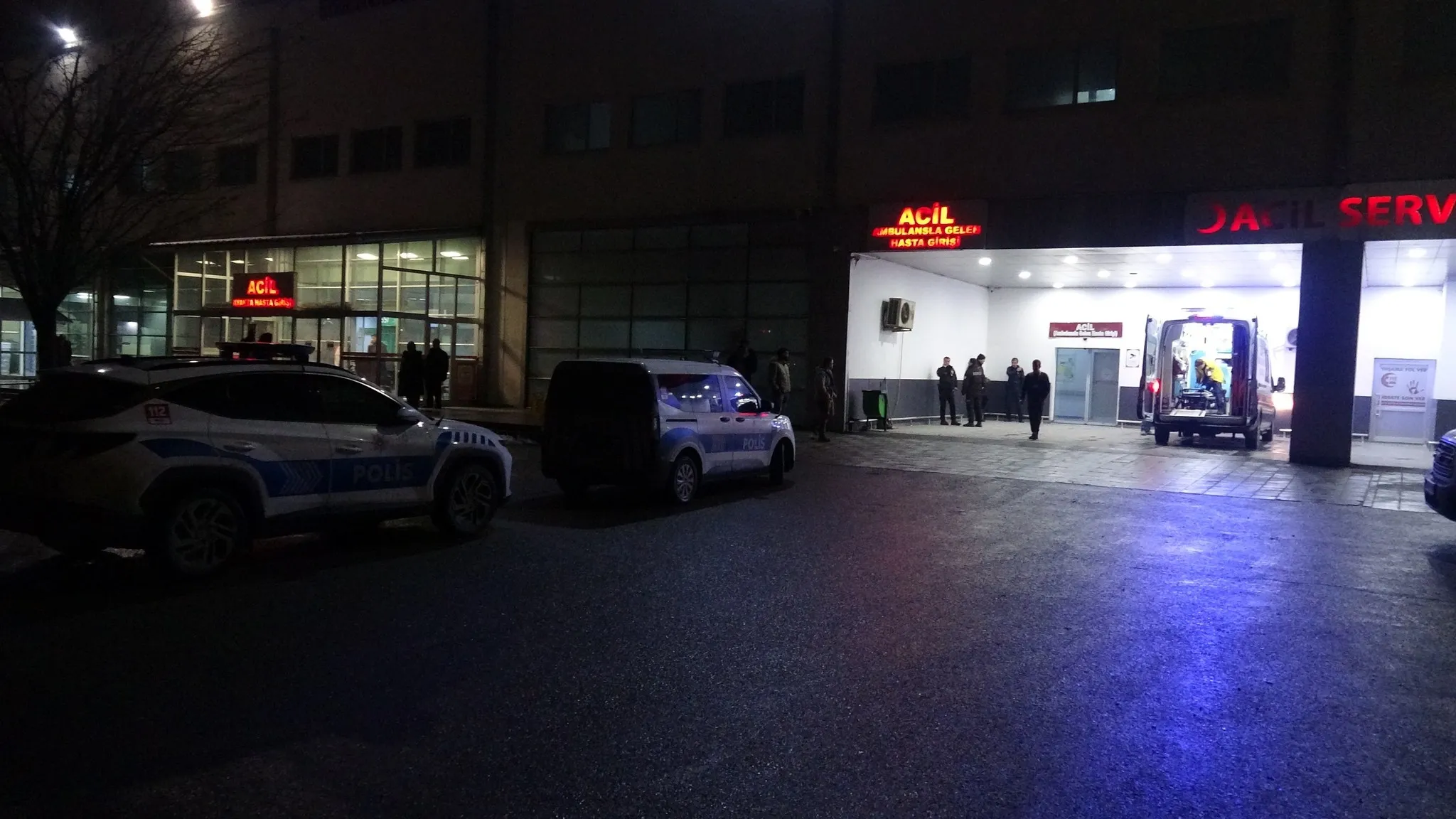 Malatya'da dut ağacı nedeniyle kavga çıktı